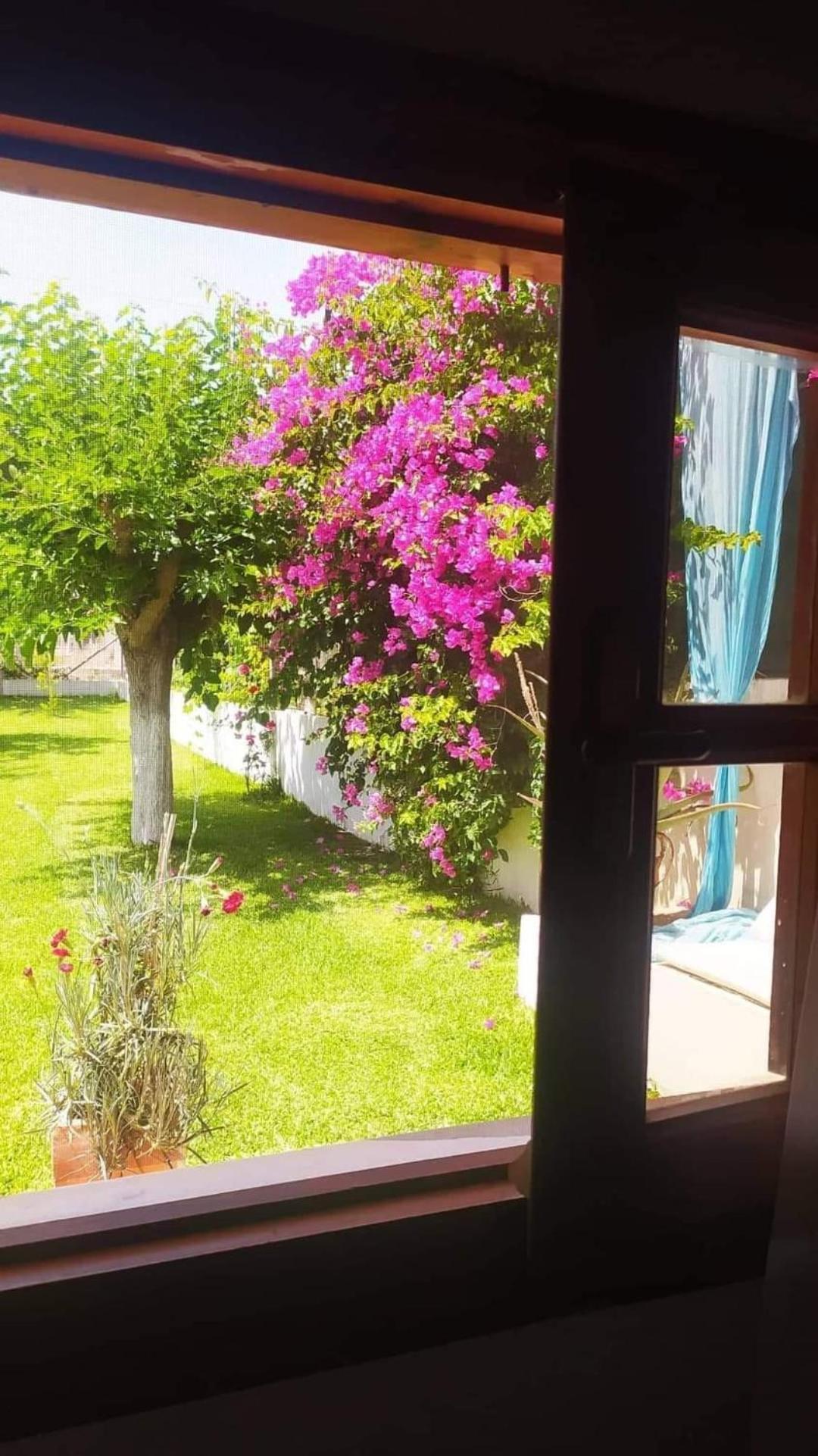 Amaryllis Sweet Home Pírgos Exterior foto